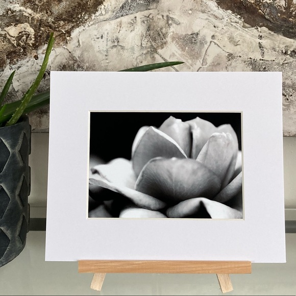 “WITHOUT YOU” ~ ORIGINAL ART by ~ @lisamichellebeckerphotography - Picture 2 of 14